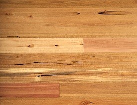 Australian Chestnut engineered flooring floor lining