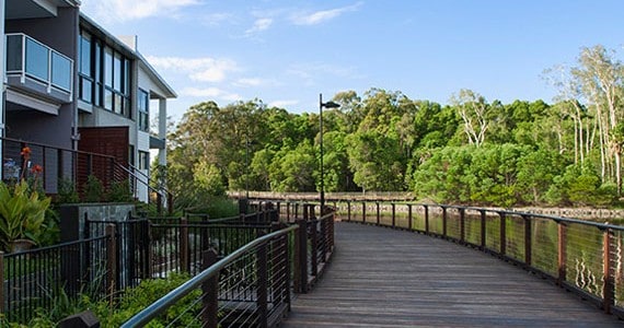 Timber boardwalk