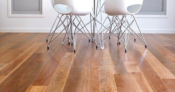 Two chairs on Spotted Gum Engineered Flooring
