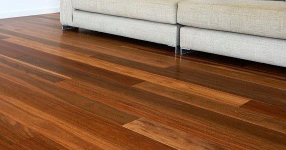 Spotted Gum Engineered Flooring