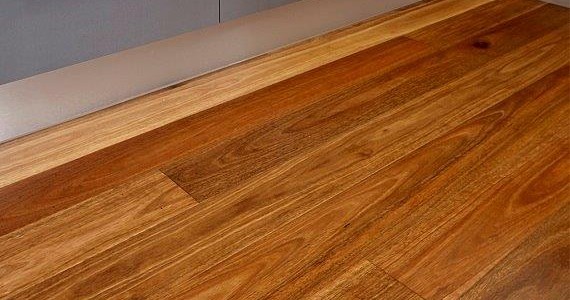 Spotted Gum Engineered Flooring