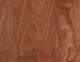 Sydney Bluegum timber swatch Oak