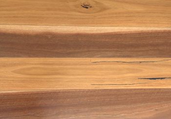 Australian Chestnut Swatch - Engineered Timber