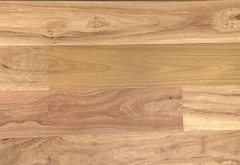 Blackbutt Swatch - Engineered Timber