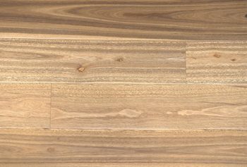 Spotted Gum Swatch - Engineered Timber